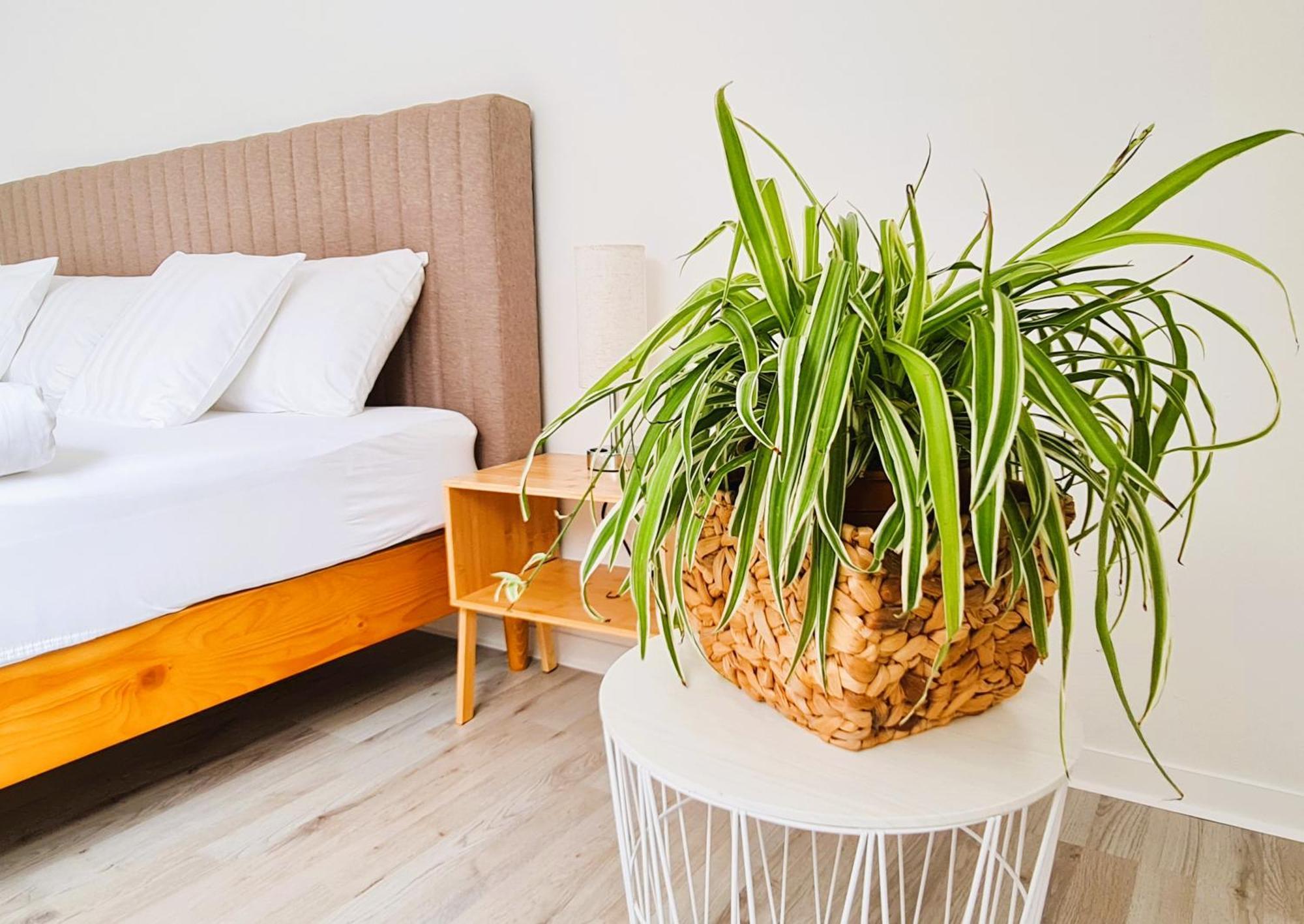 Apartment Naehe Airbus Манхинг Экстерьер фото